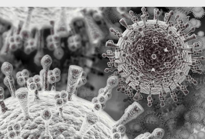 Viruses, such as the Avian flu virus depicted in this scanning electron microscope image, are neither alive nor quite dead, but may have a lot to tell us about the evolution of life on Earth. Credit: 3DScience.com